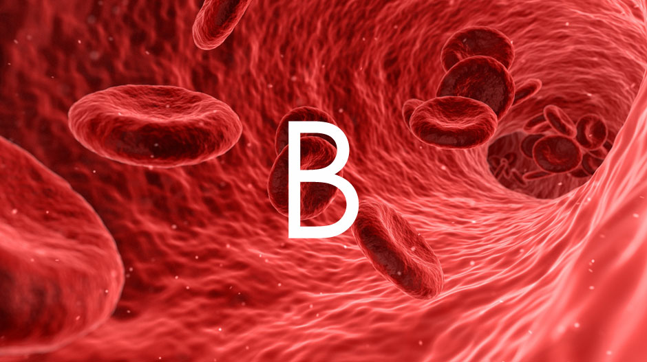 Dieta dla grupy krwi B